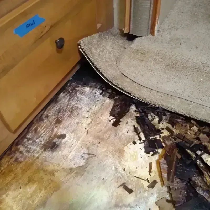 Wood Floor Water Damage in Wayzata, MN